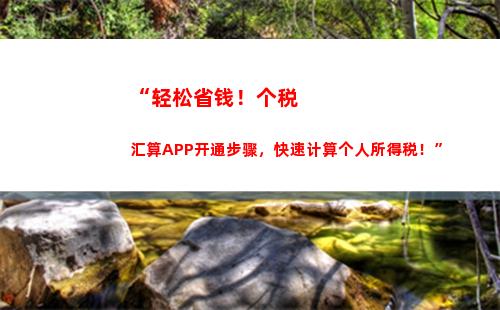 个人所得税17000(下载app个人所得税)