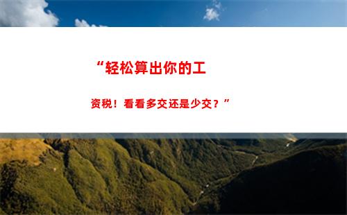 “轻松申报，智能计算，个人所得税软件，让你省心省钱！”