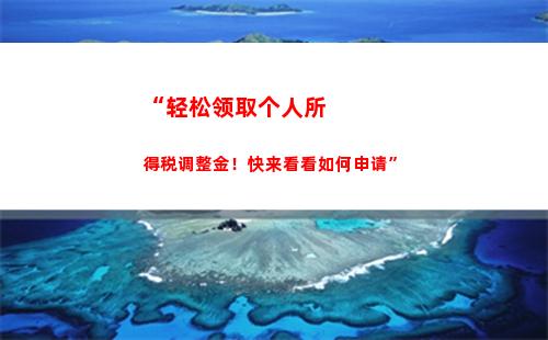 个人所得税app查询纳税记录(个人所得税app下载个人所得税)