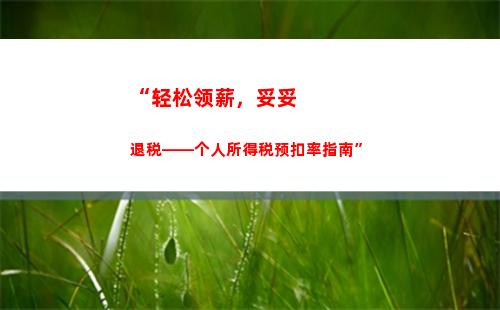 “轻松领取个人所得税调整金！快来看看如何申请”