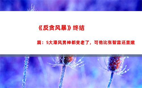 《反贪风暴》终结篇：5大港风男神都变老了，可他比张智霖还显嫩(《反贪风暴》电影)