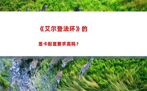 《艾尔登法环》的显卡配置要求高吗？(艾尔登法环的周目是什么意思)