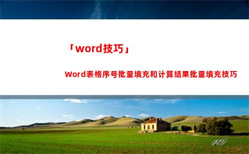 「word技巧」Word表格序号批量填充和计算结果批量填充技巧(WORD技巧)