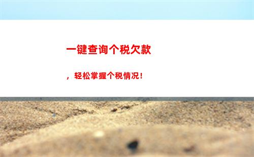 快速查询个税申报？？进这个网站就能轻松搞定