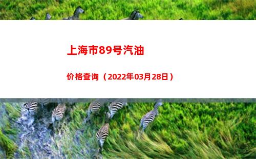 上海市89号汽油价格查询（2022年03月28日）