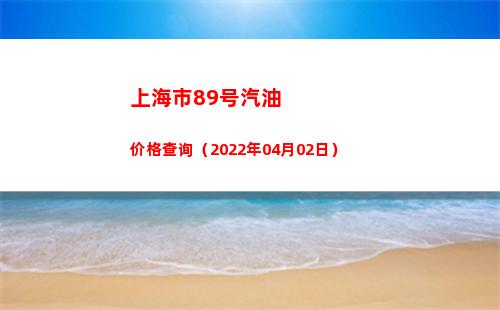 上海市89号汽油价格查询（2022年04月02日）