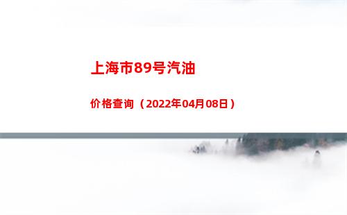 上海市89号汽油价格查询（2022年04月08日）