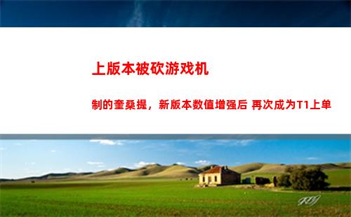 上版本被砍游戏机制的奎桑提，新版本数值增强后 再次成为T1上单