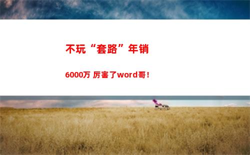 不玩“套路”年销6000万 厉害了word哥！