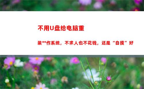 不用U盘给电脑重装操作系统，不求人也不花钱，还是“自摸”好(没有u盘电脑重置密码)