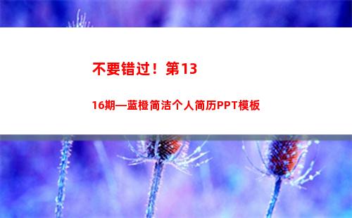 不要错过！第1316期—蓝橙简洁个人简历PPT模板(不要错过有酒窝的男人)
