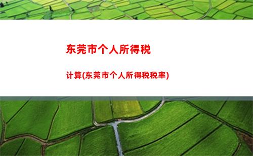 专利转让所得个人所得税(经营所得个人所得税怎么计算)