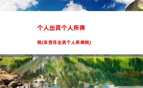 个人所得税+移民(移民要交多少个人所得税)
