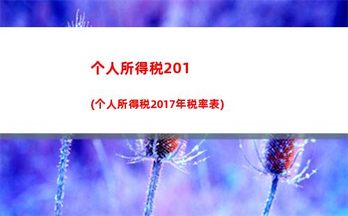 个人所得税a表和b表(个人所得税纳税申报表a表)