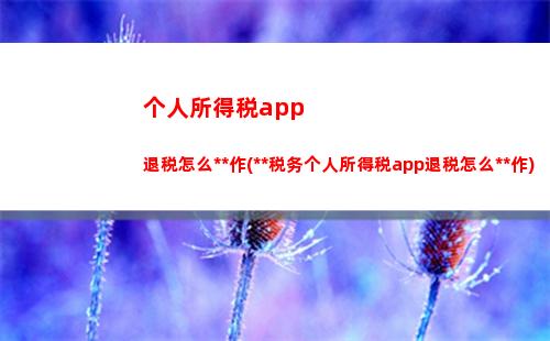 个人所得税app税(个人所得税App税后收入怎么算)
