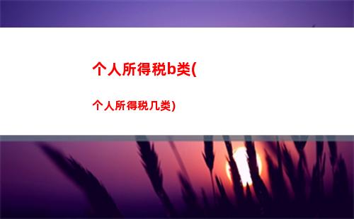 “轻松领取年度汇算个人所得税专项附加扣除，享受更高返还！”