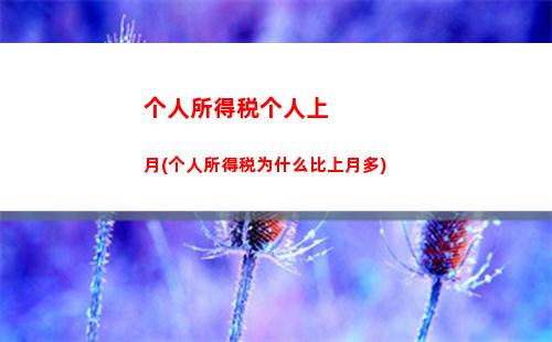 个人所得税和年所得税(个人所得税年所得税率表)