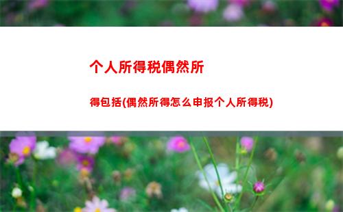 个人所得税梯段(个人所得税税段)