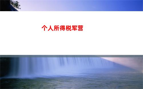 个人所得税短剧