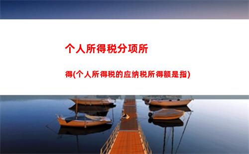 个人所得税经营所得品目(经营所得个人所得税网上申报)