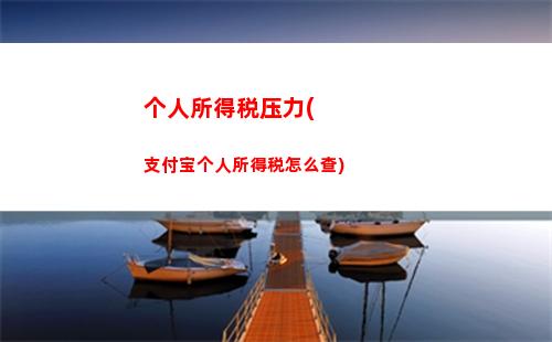 轻松查询个税记录！大连地税告诉你如何查看个人所得税缴纳记录