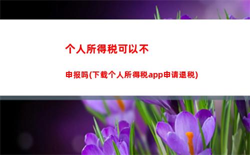 个人所得税免于汇算申报(个人所得税年度汇算一定要申报吗)