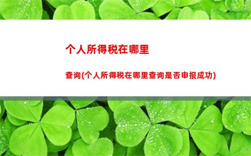 个人所得税岳父(个人所得税丈母娘算赡养老人吗)
