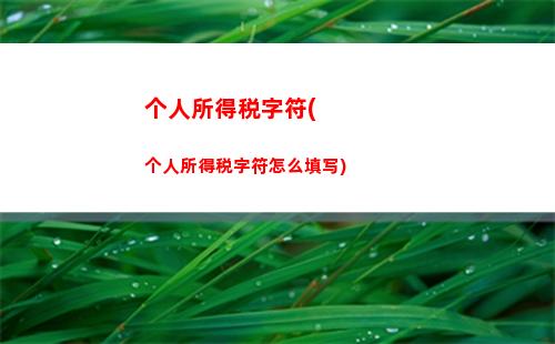 个人所得税转经营所得(个人所得税经营所得核定征收)