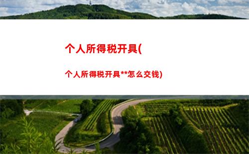 个人所得税所得的种类(个人所得税综合所得种类)
