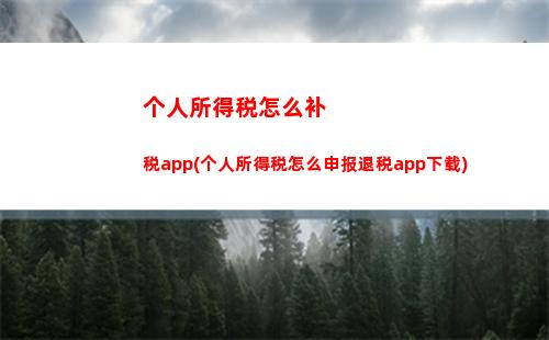 个人所得税资本税(个人所得税是怎么扣税的)