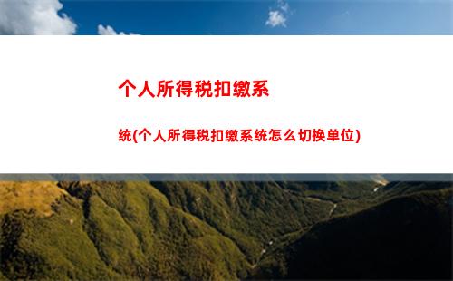个人所得税能补交吗(个人所得税补交不交会怎样)