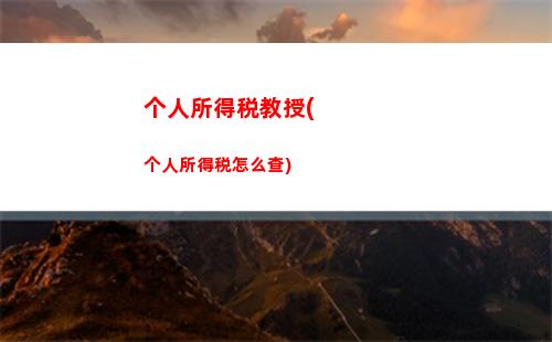 了解未来！使用个人所得税计算器2050，轻松计算您的税款
