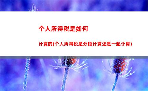文物个人所得税(拍卖文物个人所得税如何计算)