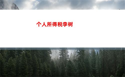 个人所得税美金(app个人所得税下载)