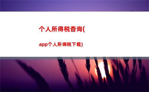 个人演出个人所得税(演出收入个人所得税)