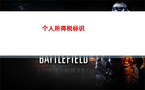 荷兰个人所得税应税所得(个体工商户个人所得税应税所得率)