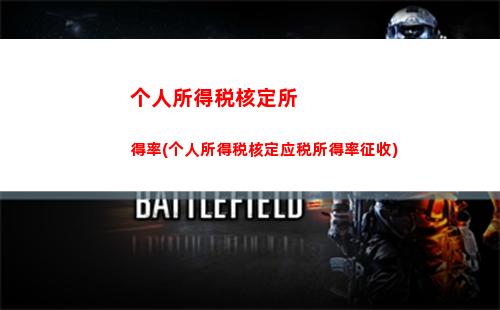 个人所得税感慨(怎样退税个人所得税)
