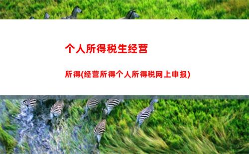 个人所得税税单去哪里打印(个人所得税去哪里办理)