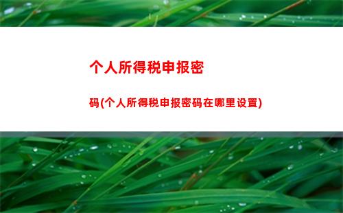 个人所得税取消其他所得(经营所得个人所得税网上申报)