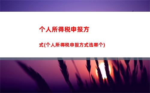 个人所得税生产所得表(个人所得税生产经营所得A表)