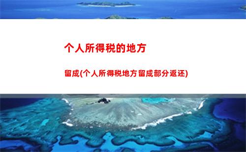 个人所得税套用(个人所得税怎么填写申报)