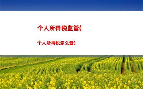 个人所得税汇算怎么申报(个人所得税汇算申报什么意思)