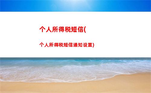 个人所得税编程(个人所得税编程代码)