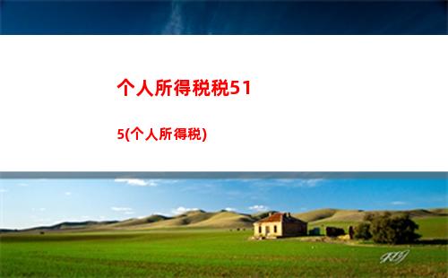 个人所得税可以补交吗(个人所得税补交不交会怎样)