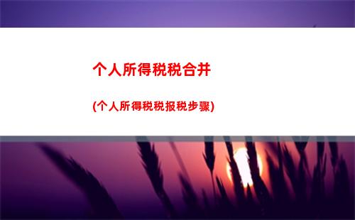 个人所得税买车(个人所得税买车位可以退税吗)