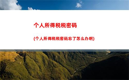 个人所得税没有缴税也能退(个人所得税缴税)