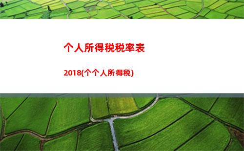 个人所得税危害(个人所得税不下载的危害是什么)