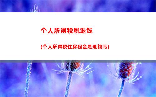 个人所得税清缴(个人所得税清缴汇算)
