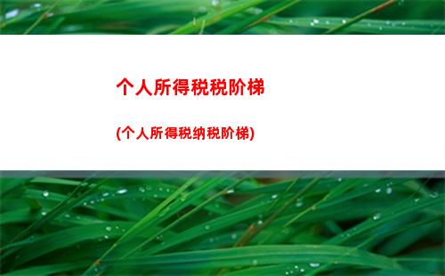 个人所得税投资理财所得(投资理财所得是否纳入个人所得税)