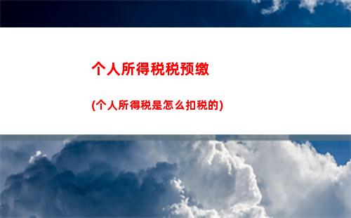 个人所得税属于什么科目(个人所税怎么交的)